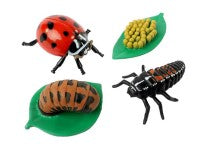 Insect Lore Bug Sets