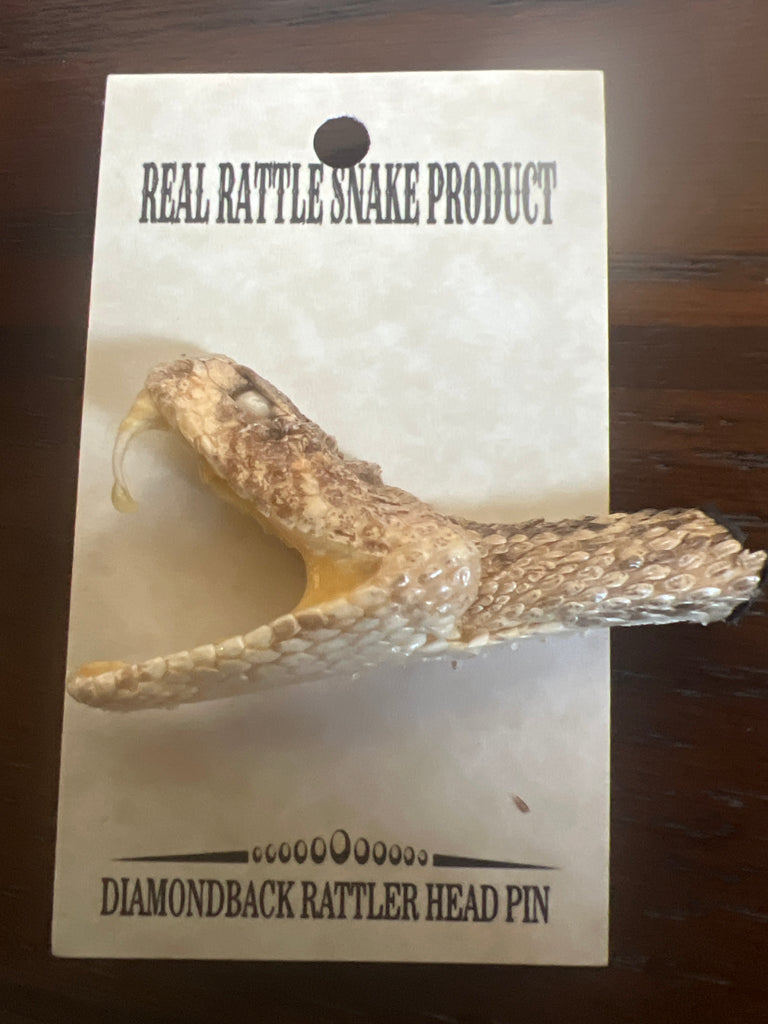 Real Diamondback Rattlesnake Head Pin