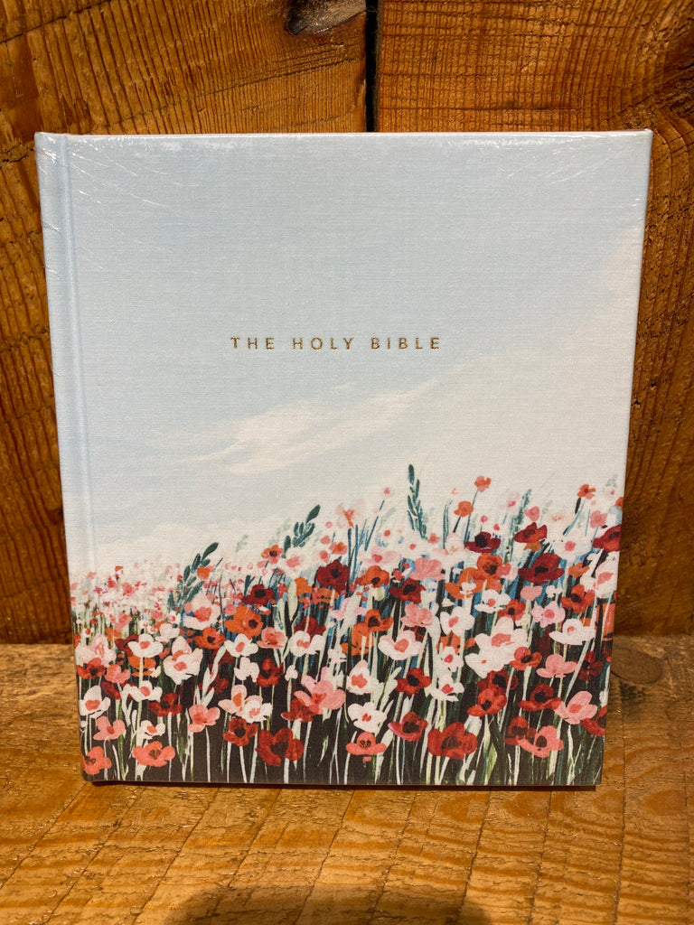 Journaling Bible