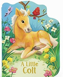 A Little Colt Board Book
