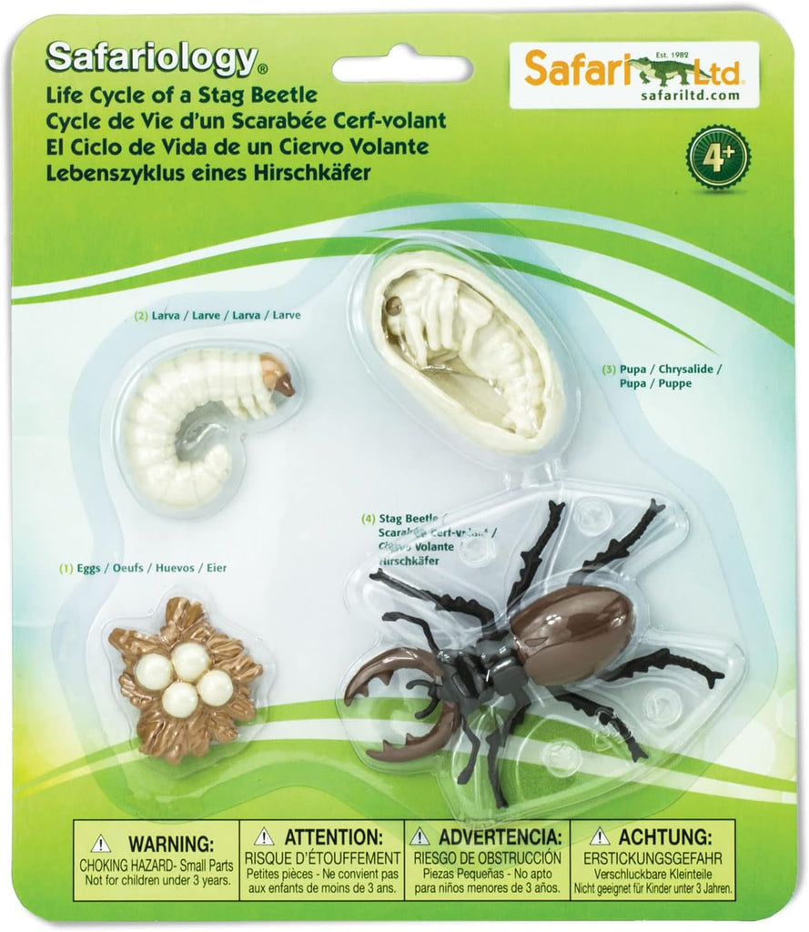 Safariology Life Cycle Series