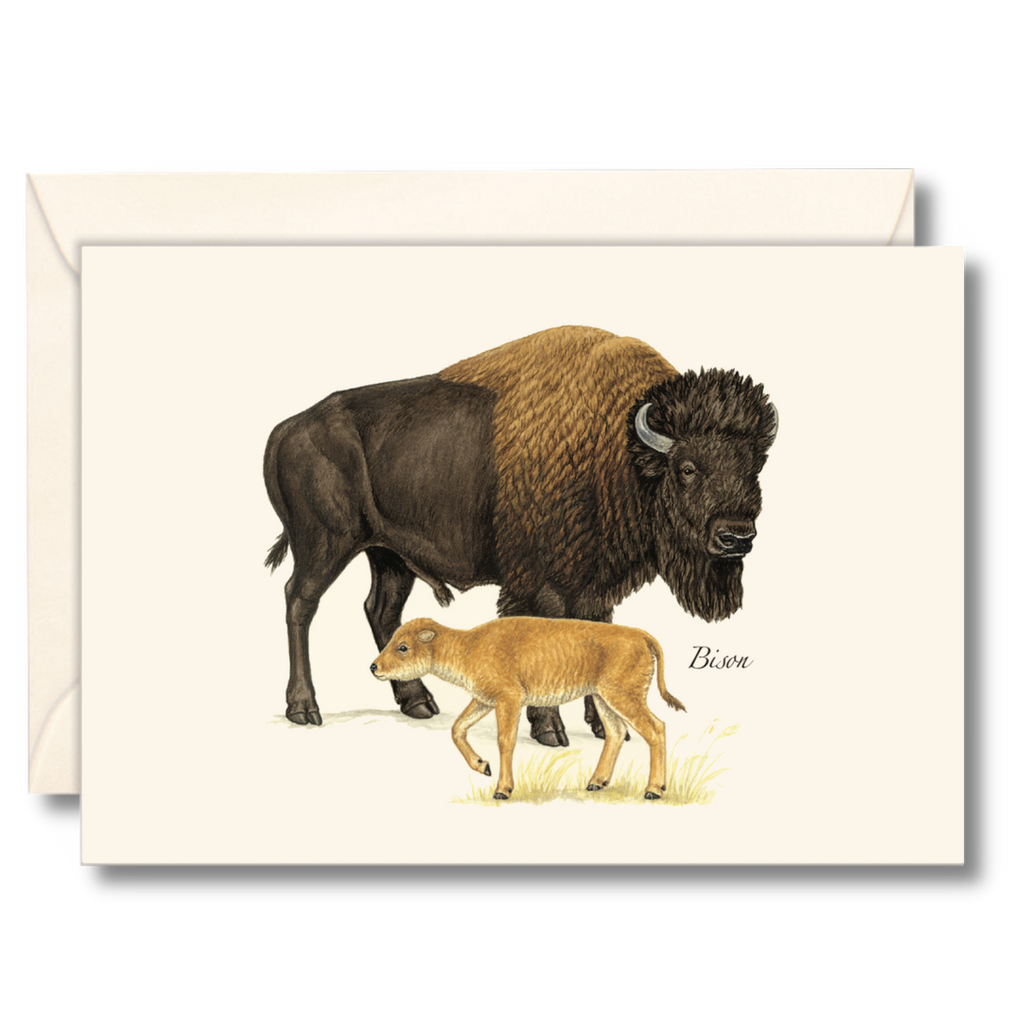 Boxed Blank Notecards