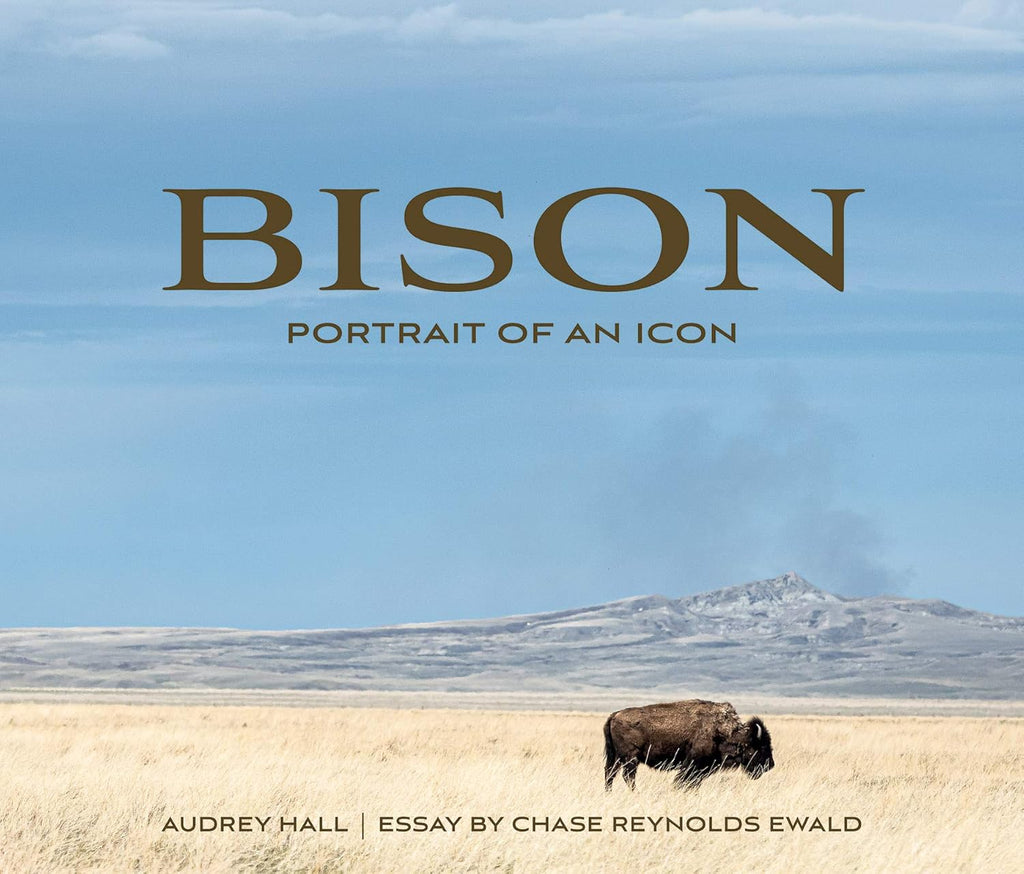 Bison: Portrait of an Icon (Hardcover)