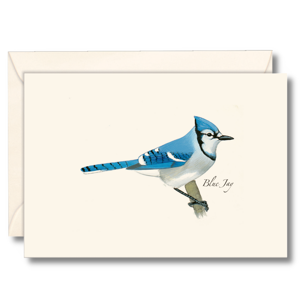 Boxed Blank Notecards
