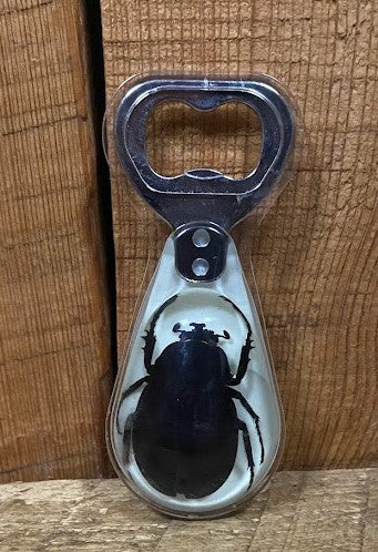 Bug in Resin Collection