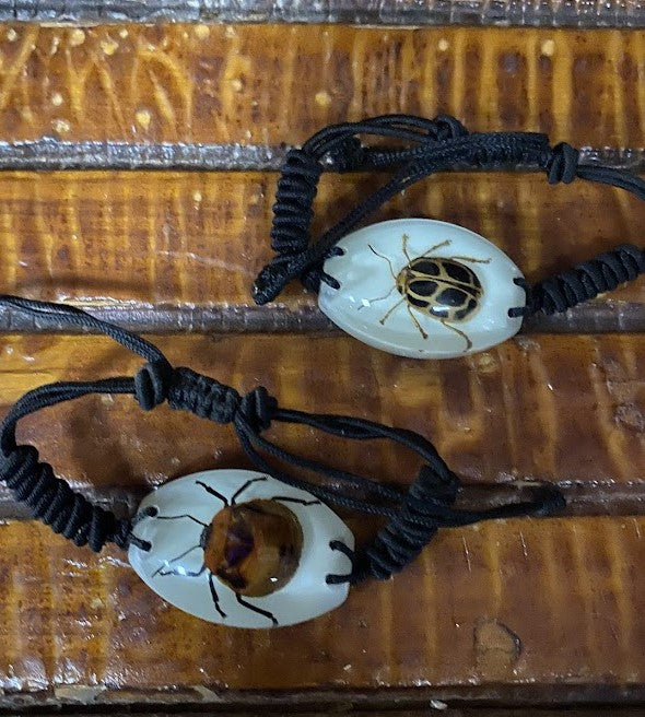 Bug in Resin Collection