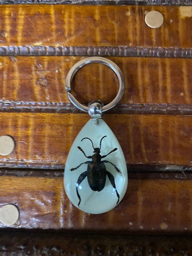 Bug in Resin Collection