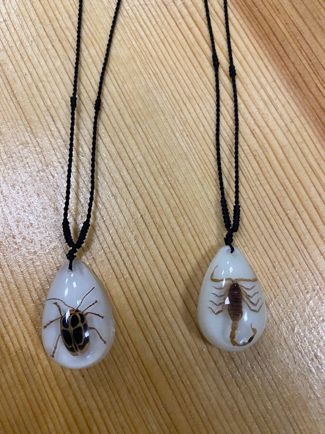 Bug in Resin Collection