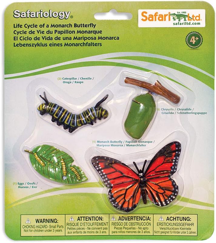 Safariology Life Cycle Series