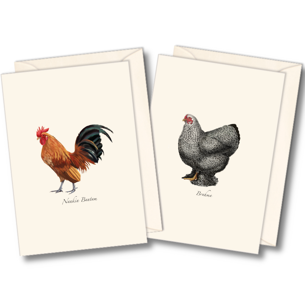 Boxed Blank Notecards