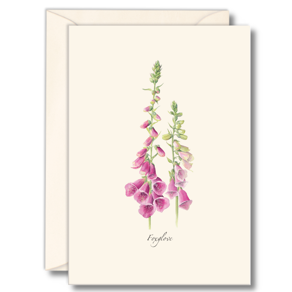 Boxed Blank Notecards