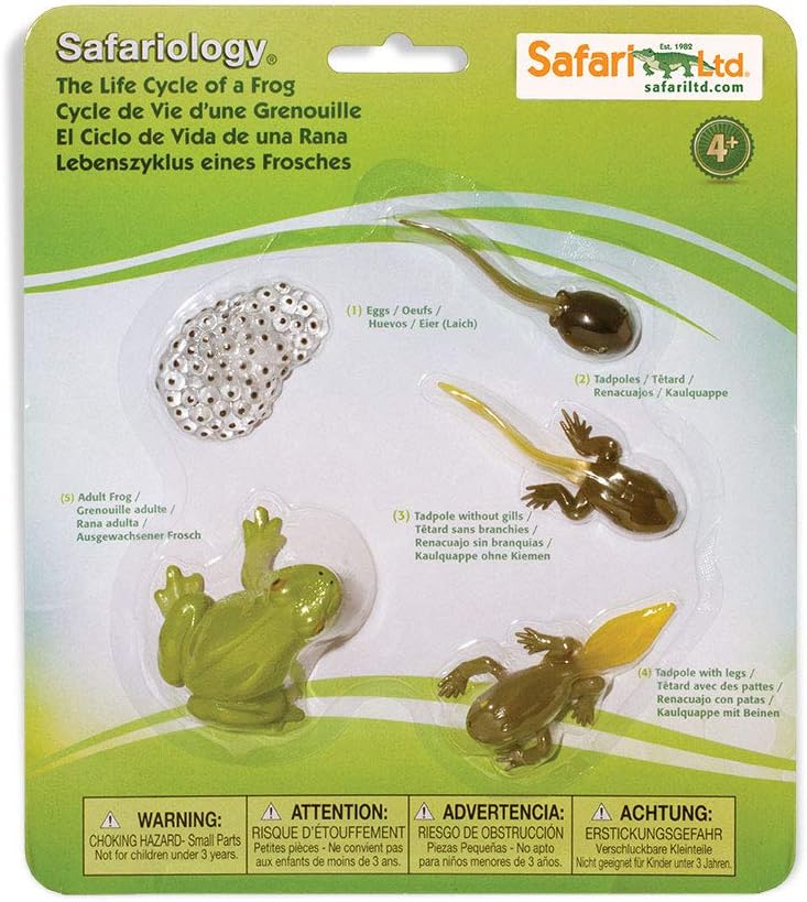 Safariology Life Cycle Series