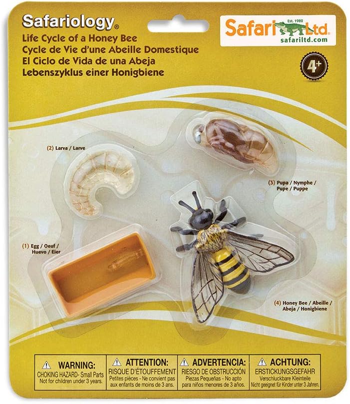 Safariology Life Cycle Series