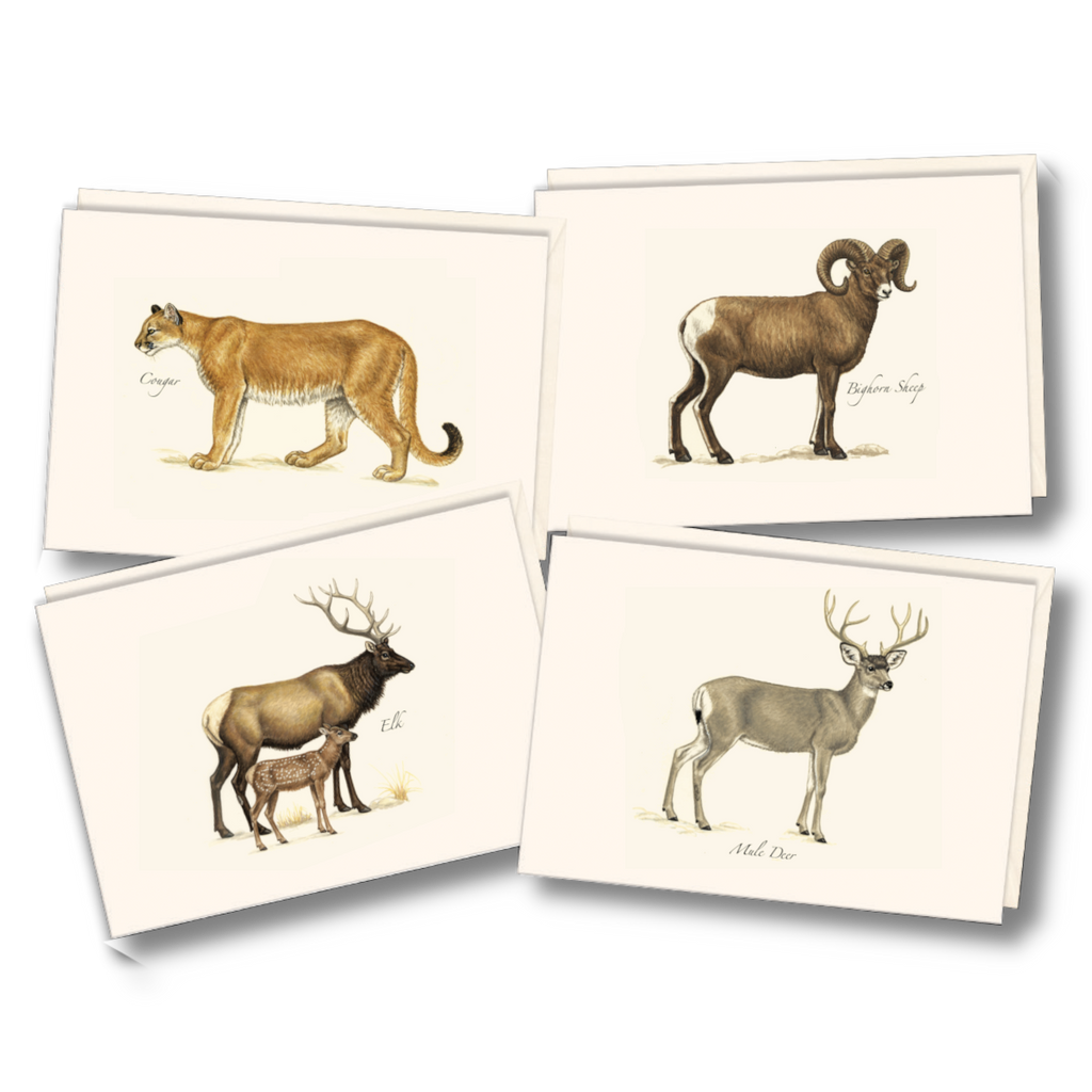 Boxed Blank Notecards
