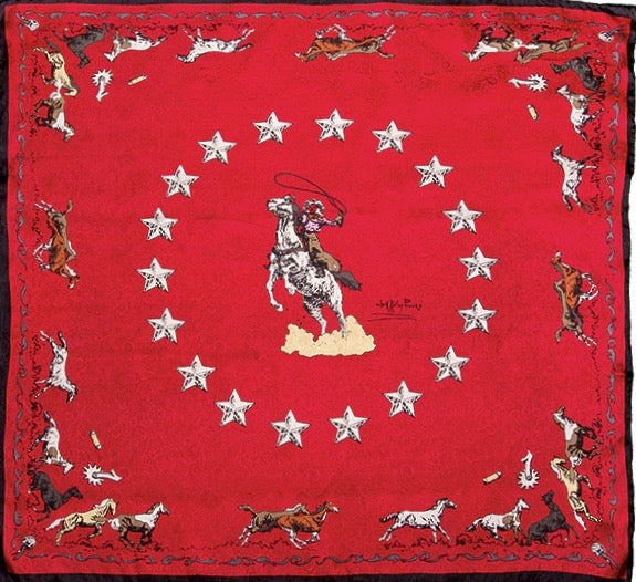 Stylish Western Silk Scarfs