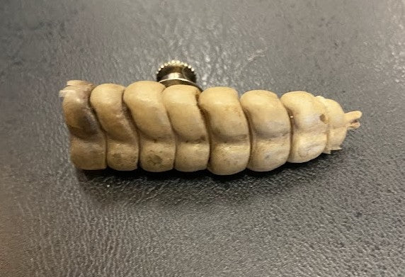 Real Rattlesnake Tail Tack