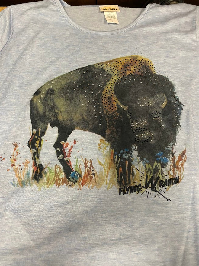 Short Sleeve Soft Ladies Fit T-Shirts