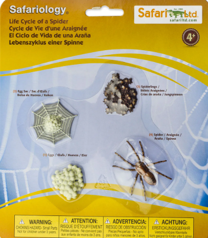Safariology Life Cycle Series