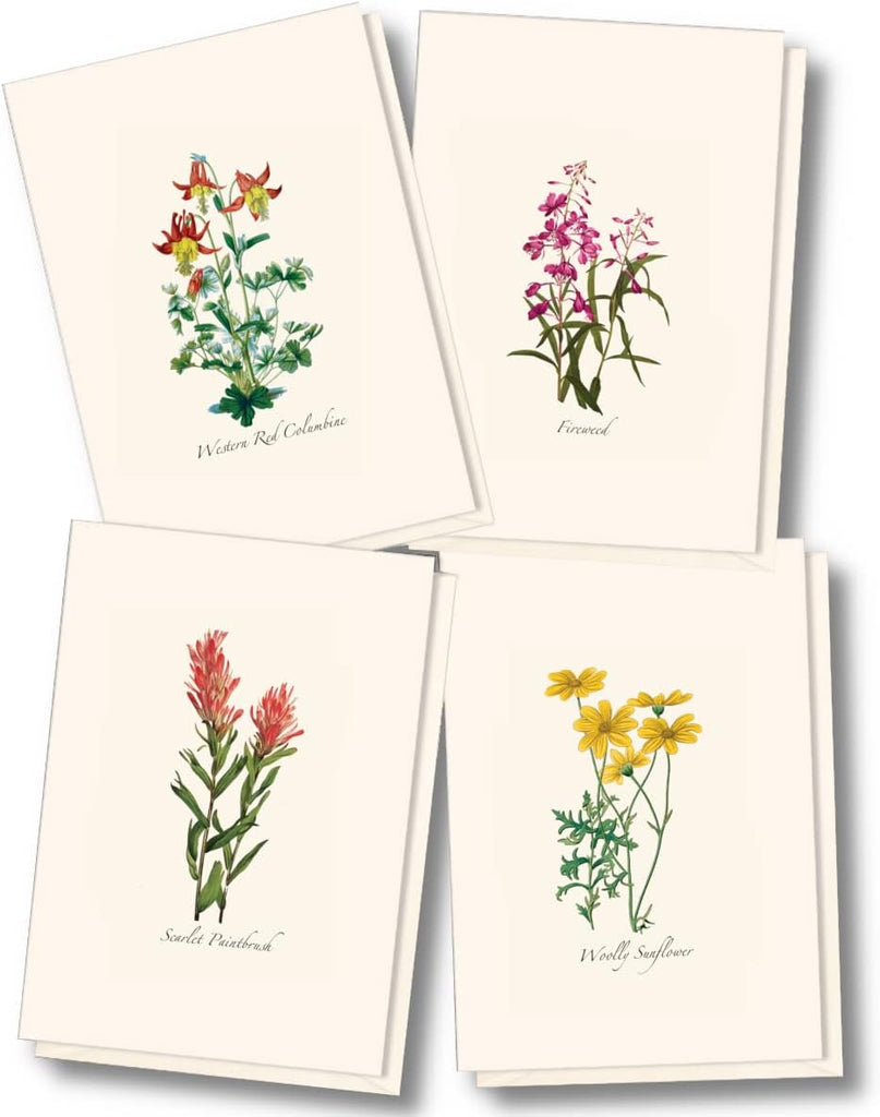 Boxed Blank Notecards