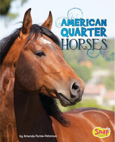 Children's Horse Books