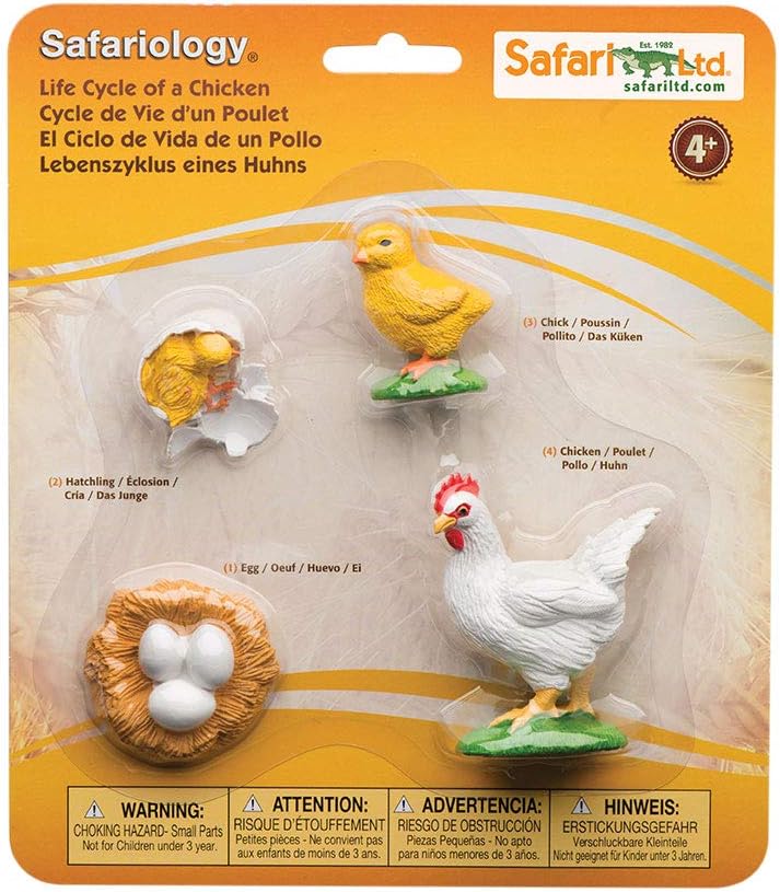Safariology Life Cycle Series