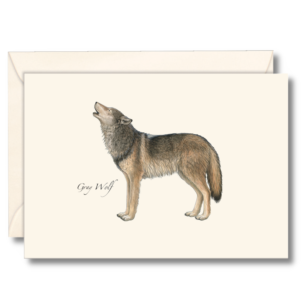 Boxed Blank Notecards