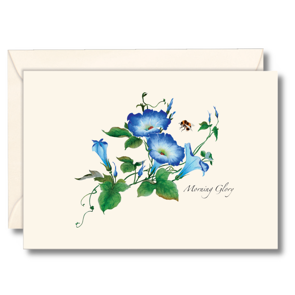 Boxed Blank Notecards