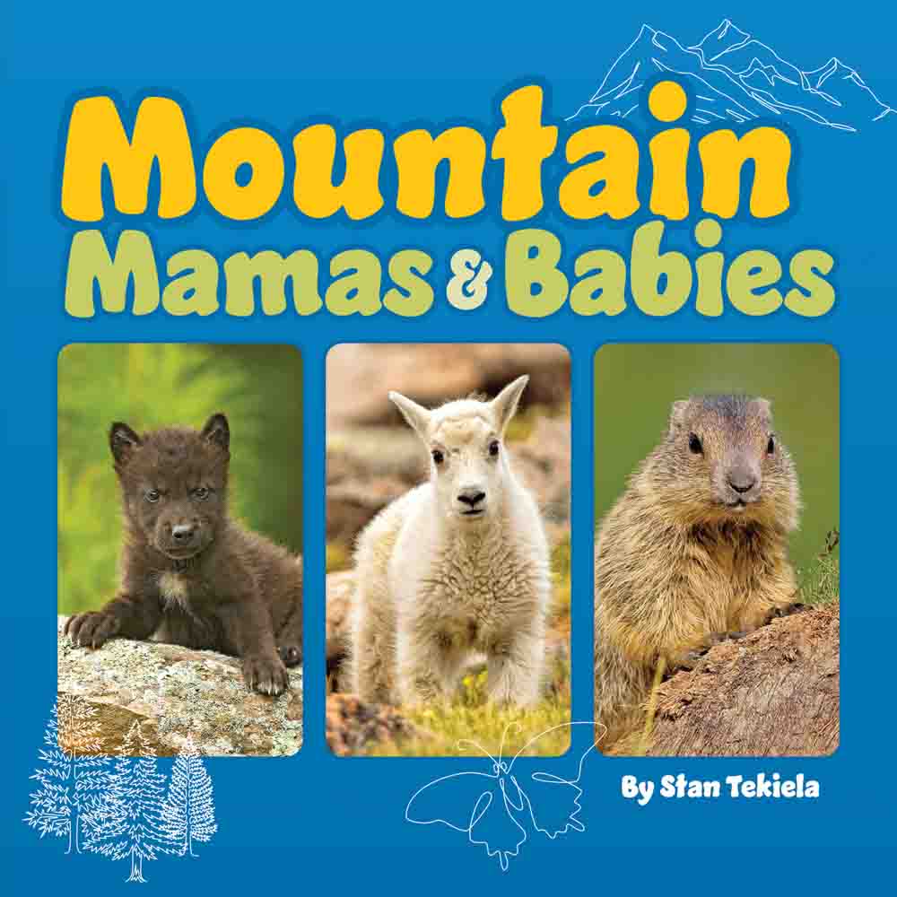 Mamas & Babies Board Books