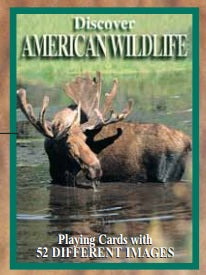 Images of Amercian Playing Cards