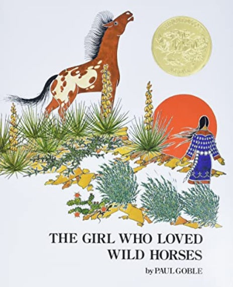 Girl Who Loved Wild Horses (Paperback)