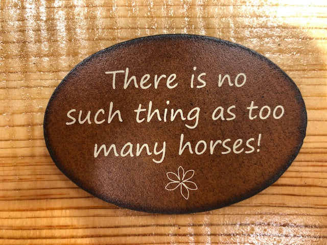 Rustic Metal Magnets w/ Funny Sayings
