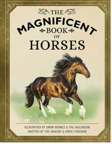 Magnificent Horses (Hardcover)