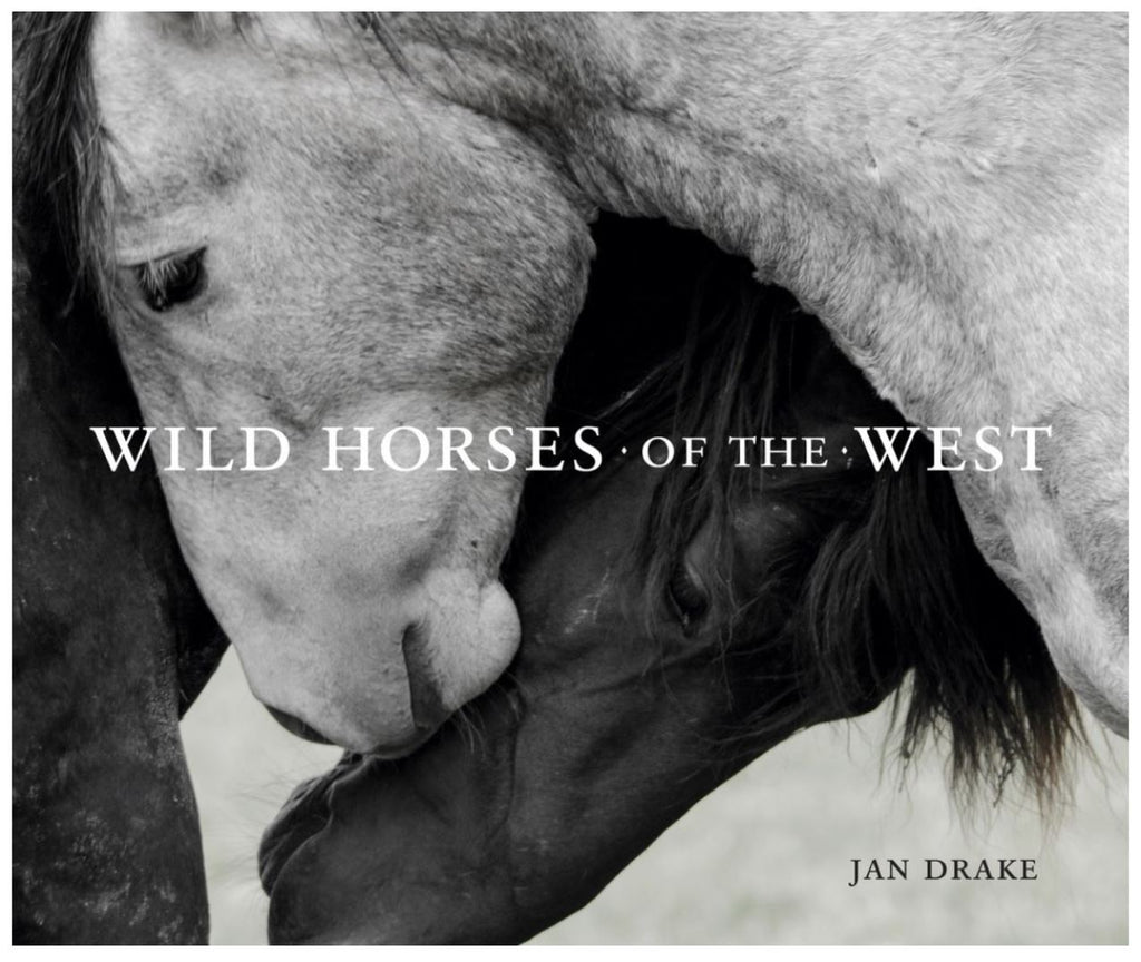 Wild Horses of the West (Hardcover)