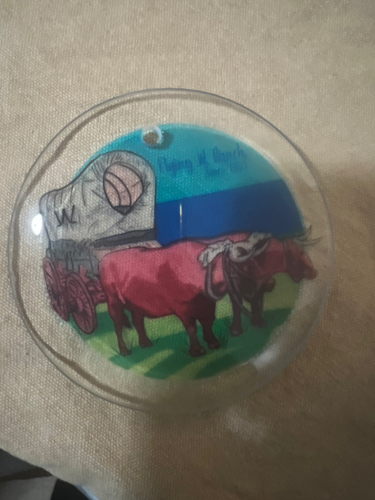 Flying W Glass Suncatcher